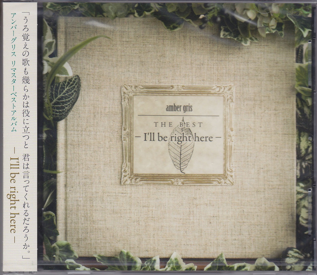 amber gris ( アンバーグリス )  の CD amber gris THE BEST - I’ll be right here -
