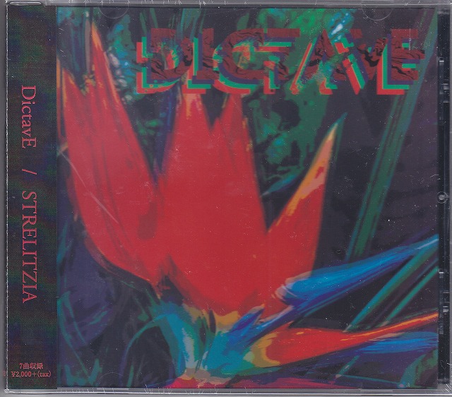 DictavE ( ディクテイヴ )  の CD STRELITZIA