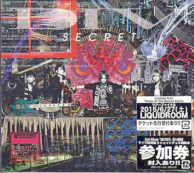 DIV ( ダイブ )  の CD SECRET【DVD付き初回生産限定盤】