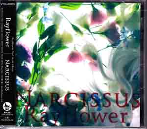 Rayflower ( レイフラワー )  の CD Narcissus