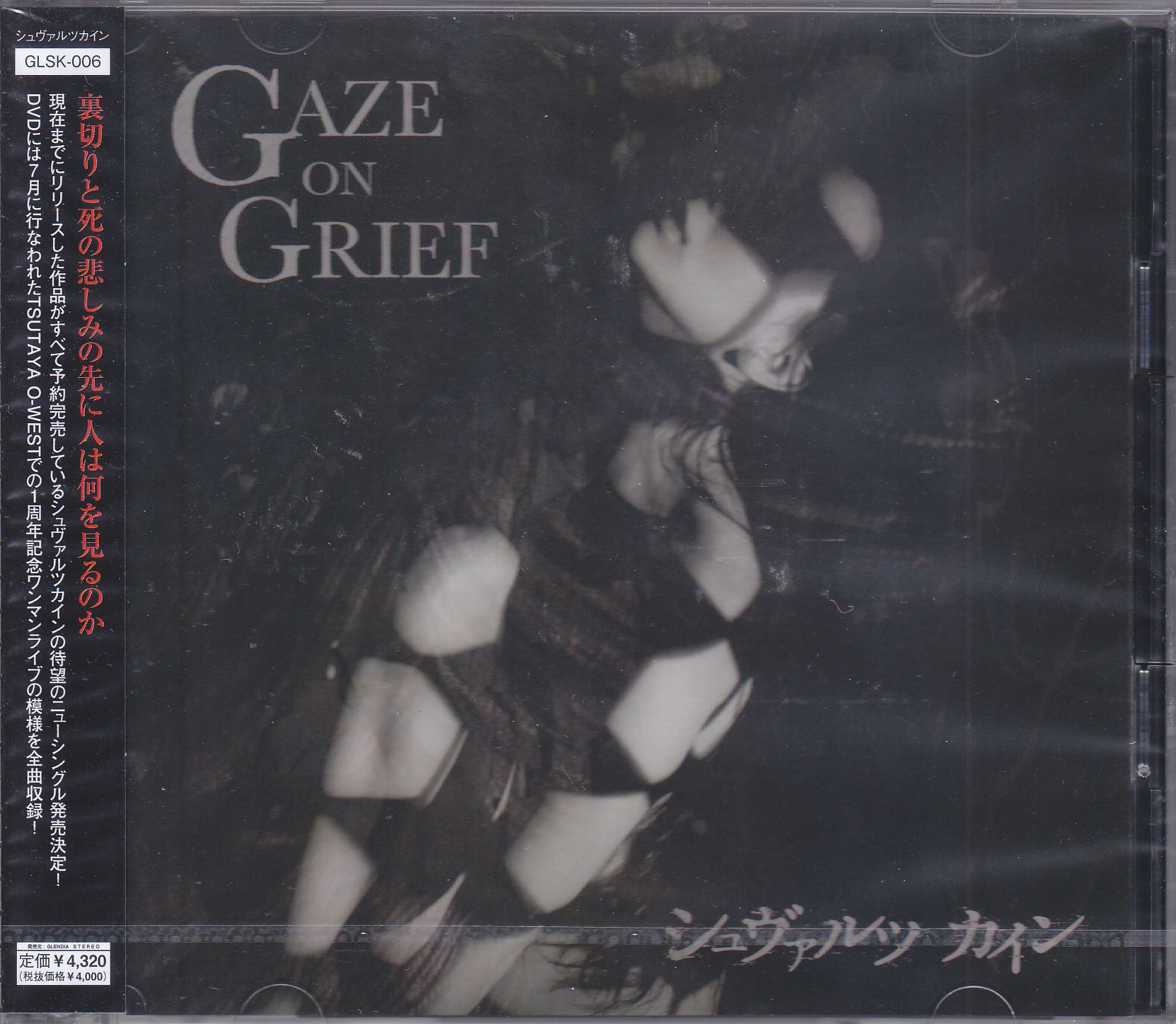 シュヴァルツカイン の CD GAZE ON GRIEF