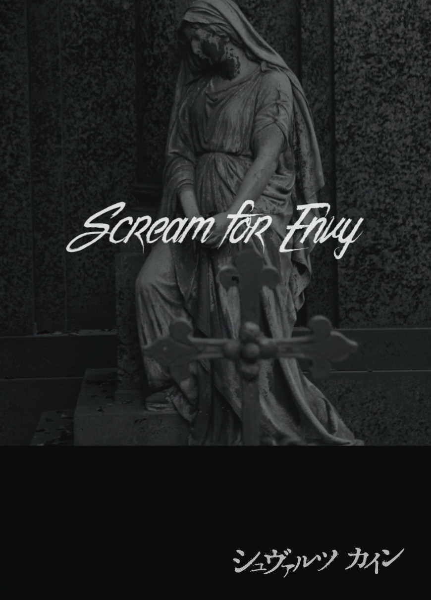 シュヴァルツカイン の DVD Scream for Envy