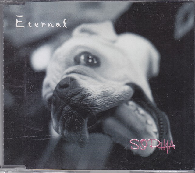 SOPHIA ( ソフィア )  の CD Eternal