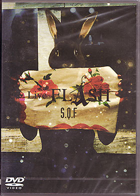S.Q.F ( スピニングキューファクター/エスキューエフ )  の DVD Live FLASH