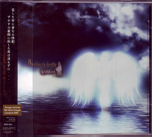 Vallquar-ワルキューレ- ( ワルキューレ )  の CD Destiny to deside