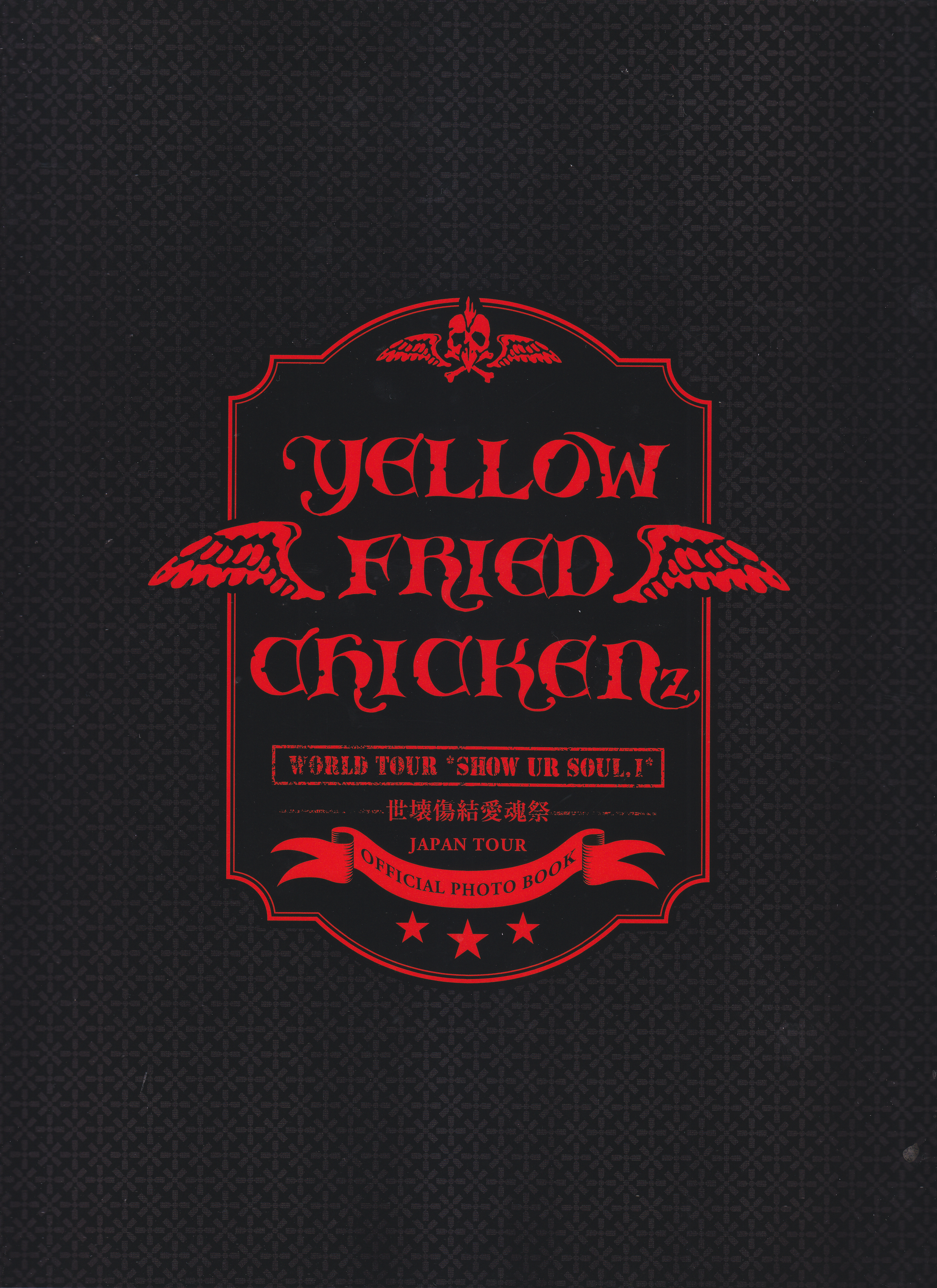 YELLOW FRIED CHICKENz ( イエローフライドチキンズ )  の 書籍 WORLD TOUR “SHOW UR SOUL.I”-世壊傷結愛魂祭-JAPAN TOUR OFFICIAL PHOTO BOOK