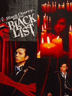 ピュアサウンド / sp_アーティスト_取扱商品