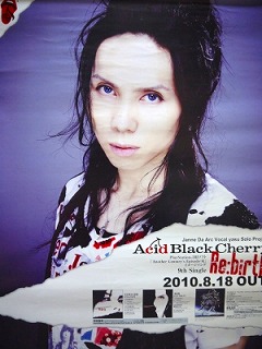 ピュアサウンド / sp_アーティスト_取扱商品