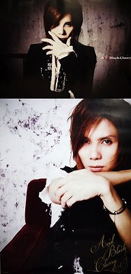 Acid Black Cherry FREE LIVE 2011 両面ポスター ピュアサウンド / sp_アーティスト_取扱商品_詳細表示