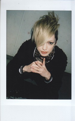 ピュアサウンド / sp_アーティスト_取扱商品