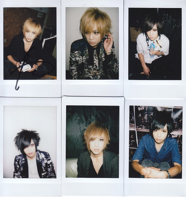 ピュアサウンド / sp_アーティスト_取扱商品