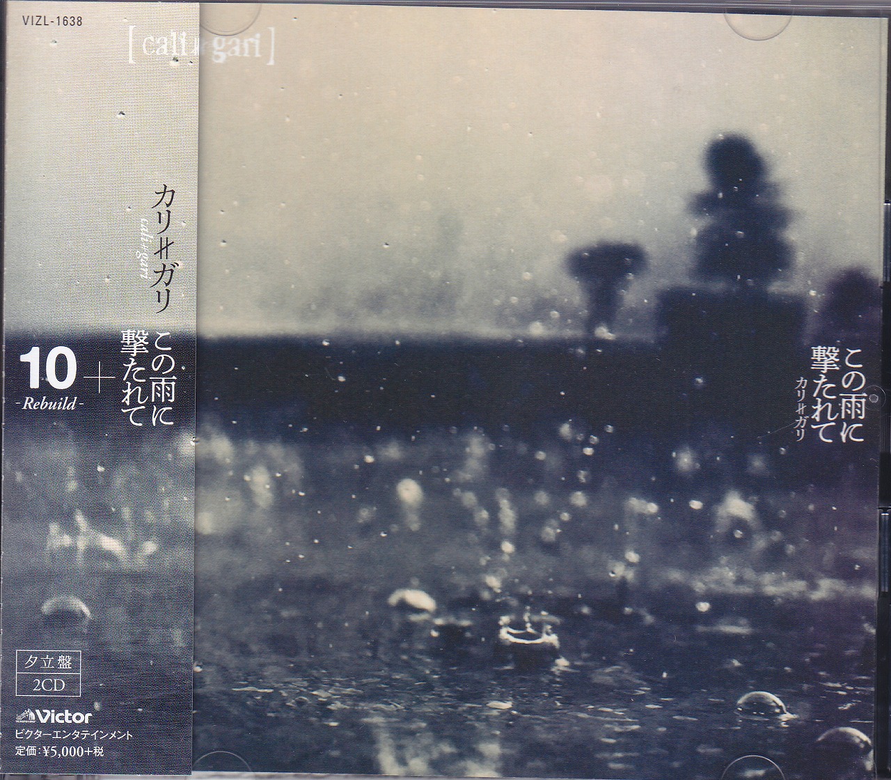 カリガリ の CD 【夕立盤】この雨に撃たれて