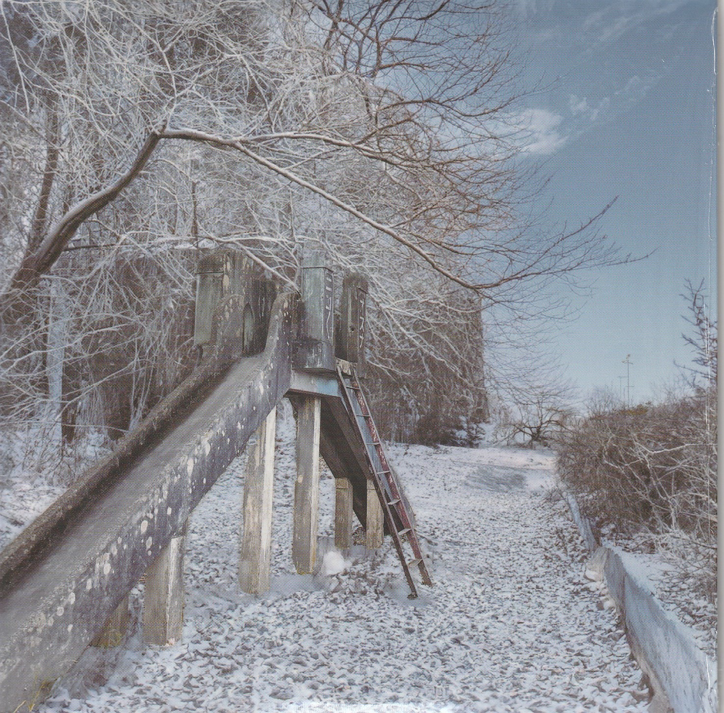 cali≠gari の CD 【野音記念盤】冬の日