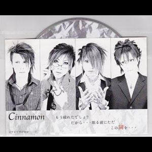 Cinnamon ( シナモン )  の CD slope/Virgin Snow/雪の種