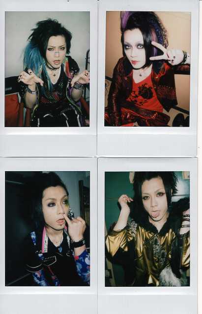 ピュアサウンド / sp_アーティスト_取扱商品