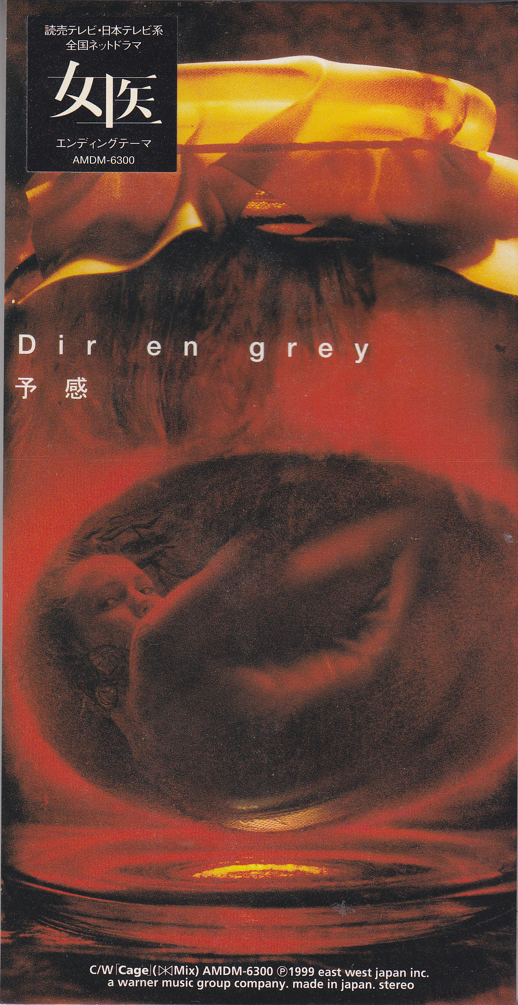 DIR EN GREY ( ディルアングレイ )  の CD 予感