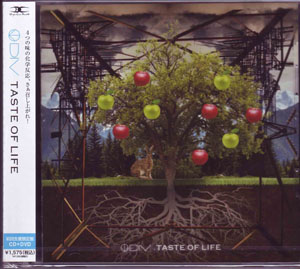 DIV ( ダイブ )  の CD 【初回盤】TASTE OF LIFE