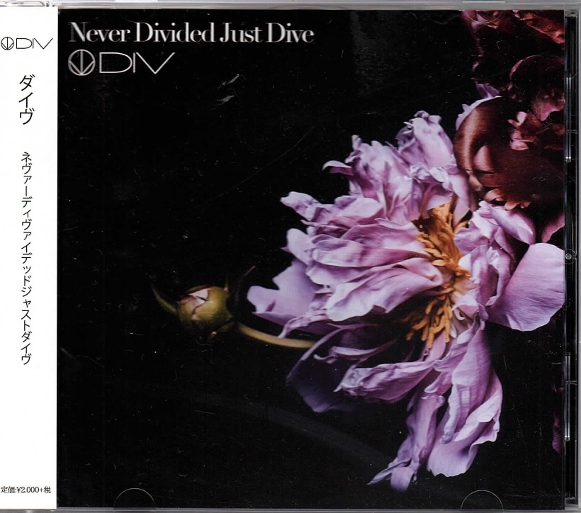 DIV の CD Never Divided Just Dive