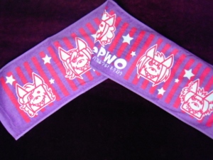 ピュアサウンド / sp_アーティスト_取扱商品