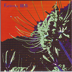 Fatima ( ファティマ )  の CD 紬糸【大阪ver.】