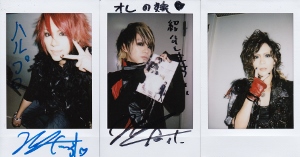 ピュアサウンド / sp_アーティスト_取扱商品