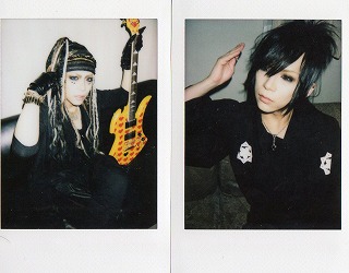 ピュアサウンド / sp_アーティスト_取扱商品