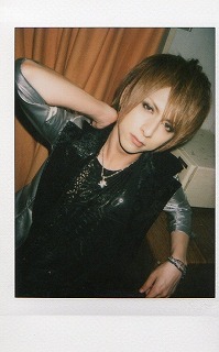 fest vainqueur  hal チェキ ピュアサウンド / sp_アーティスト_取扱商品