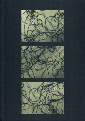 the GazettE の パンフ Pluse Wriggling To Black 04