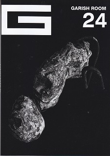 the GazettE の 会報 GARISH ROOM 24