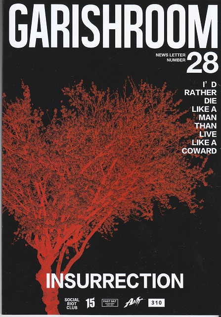 the GazettE の 会報 GARISH ROOM 28