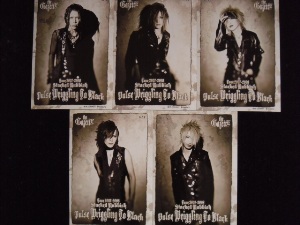 the GazettE パンフレット 写真集 タレントグッズ