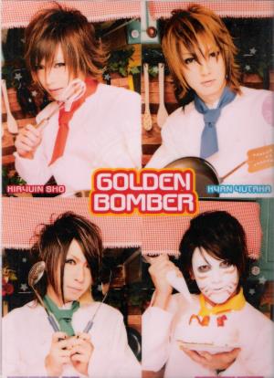 ピュアサウンド / sp_アーティスト_取扱商品