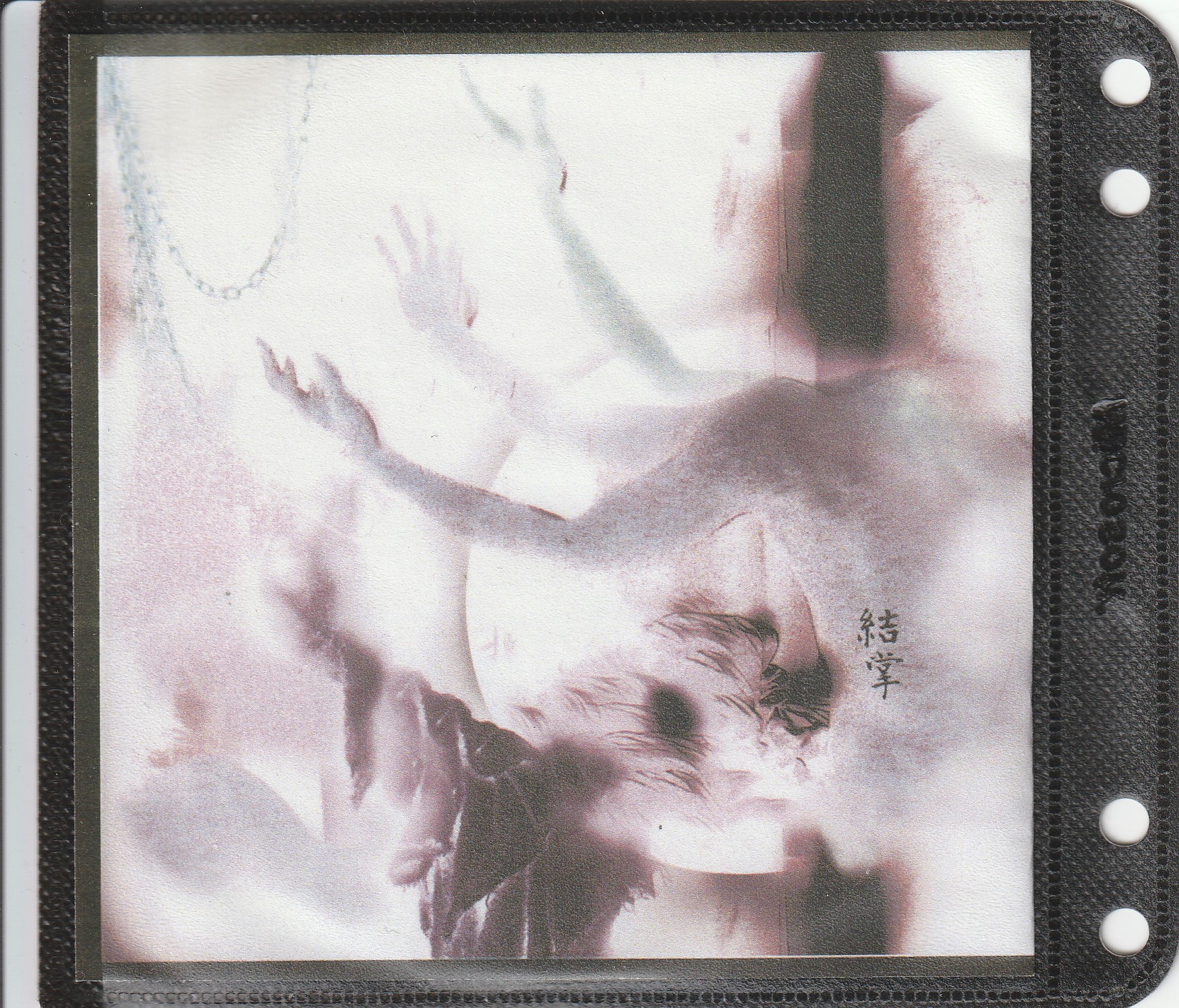 針槐 の CD 結掌