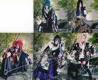 ピュアサウンド / sp_アーティスト_取扱商品_詳細表示