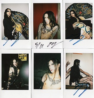 ピュアサウンド / sp_アーティスト_取扱商品