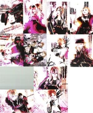 ピュアサウンド / sp_アーティスト_取扱商品