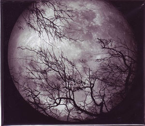 LUNA SEA の CD 【初回盤】LUNA SEA PREMIUM BOX