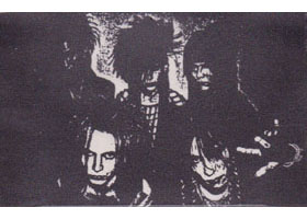 ピュアサウンド / sp_アーティスト_取扱商品