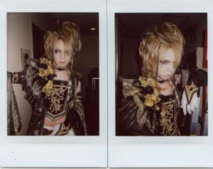 ピュアサウンド / sp_アーティスト_取扱商品