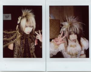 ピュアサウンド / sp_アーティスト_取扱商品