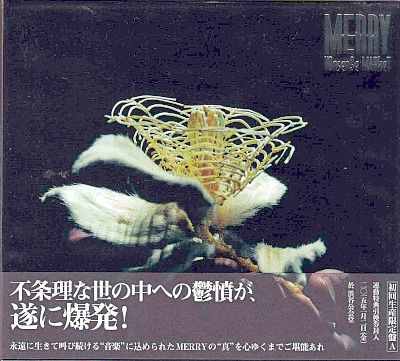 MERRY ( メリー )  の CD 【初回盤A】NOnsenSe MARkeT