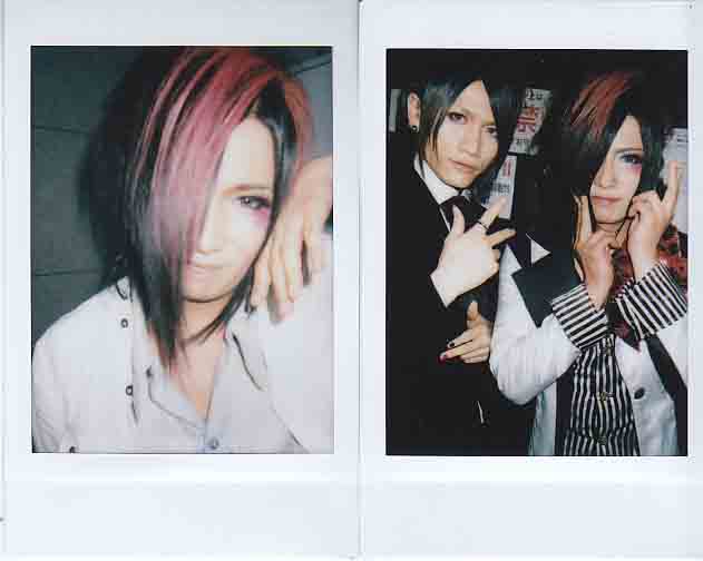 ピュアサウンド / sp_アーティスト_取扱商品