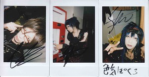 ピュアサウンド / sp_アーティスト_取扱商品
