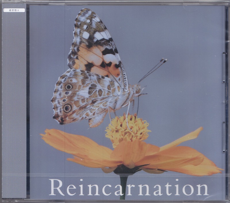 ネバーランド の CD 【Btype】Reincarnation