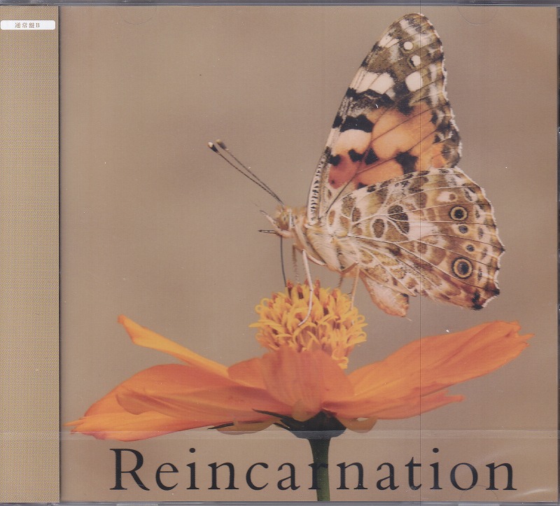 NEVERLAND の CD 【C通常盤】Reincarnation