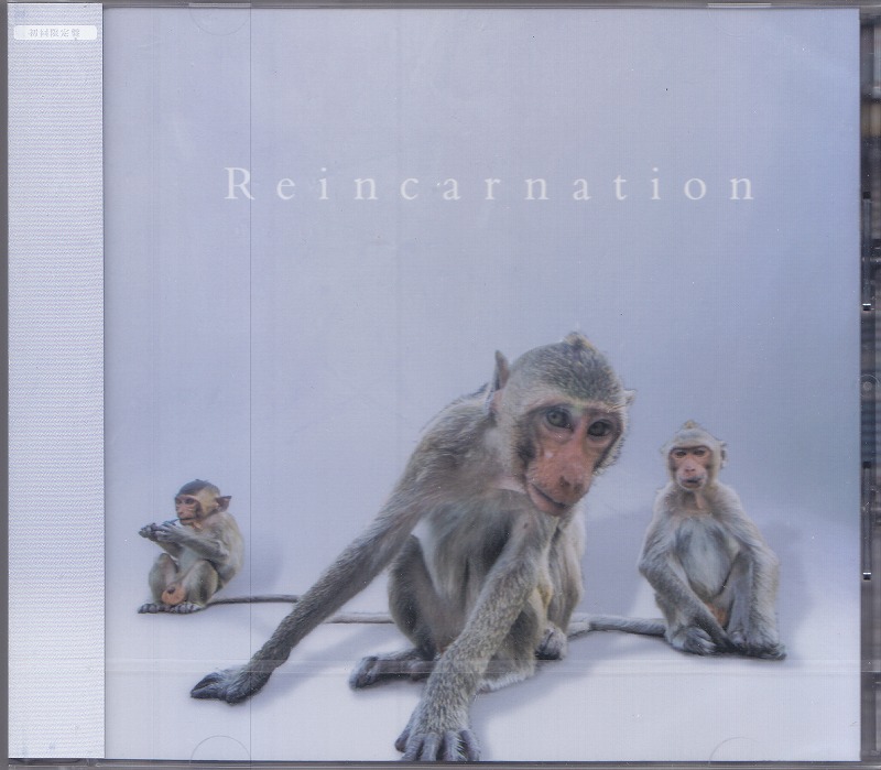 ネバーランド の CD 【A通常盤】Reincarnation