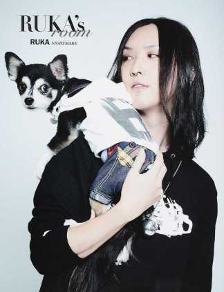 NIGHTMARE の 書籍 RUKA's room
