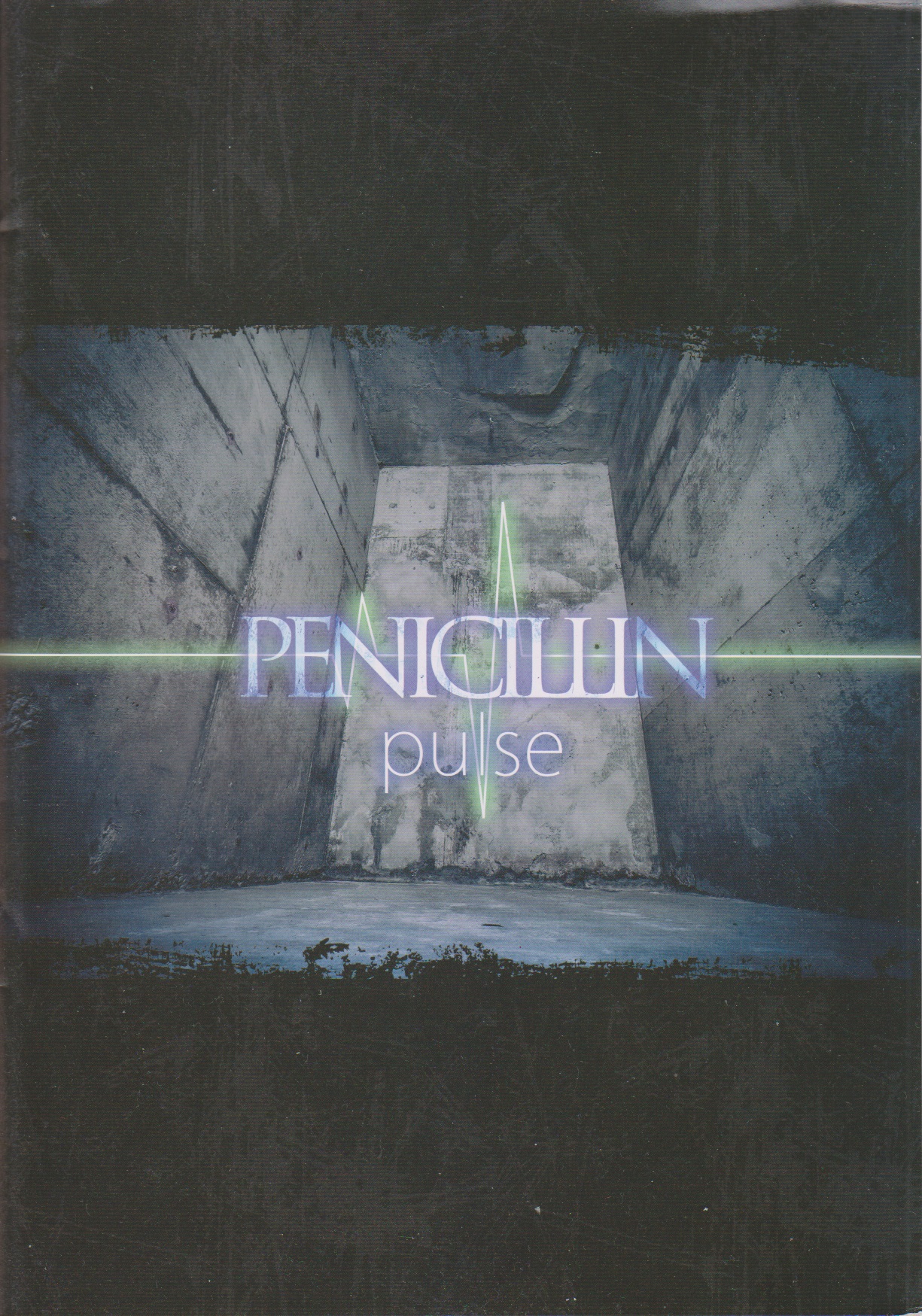 PENICILLIN の パンフ 【A-type】pulse