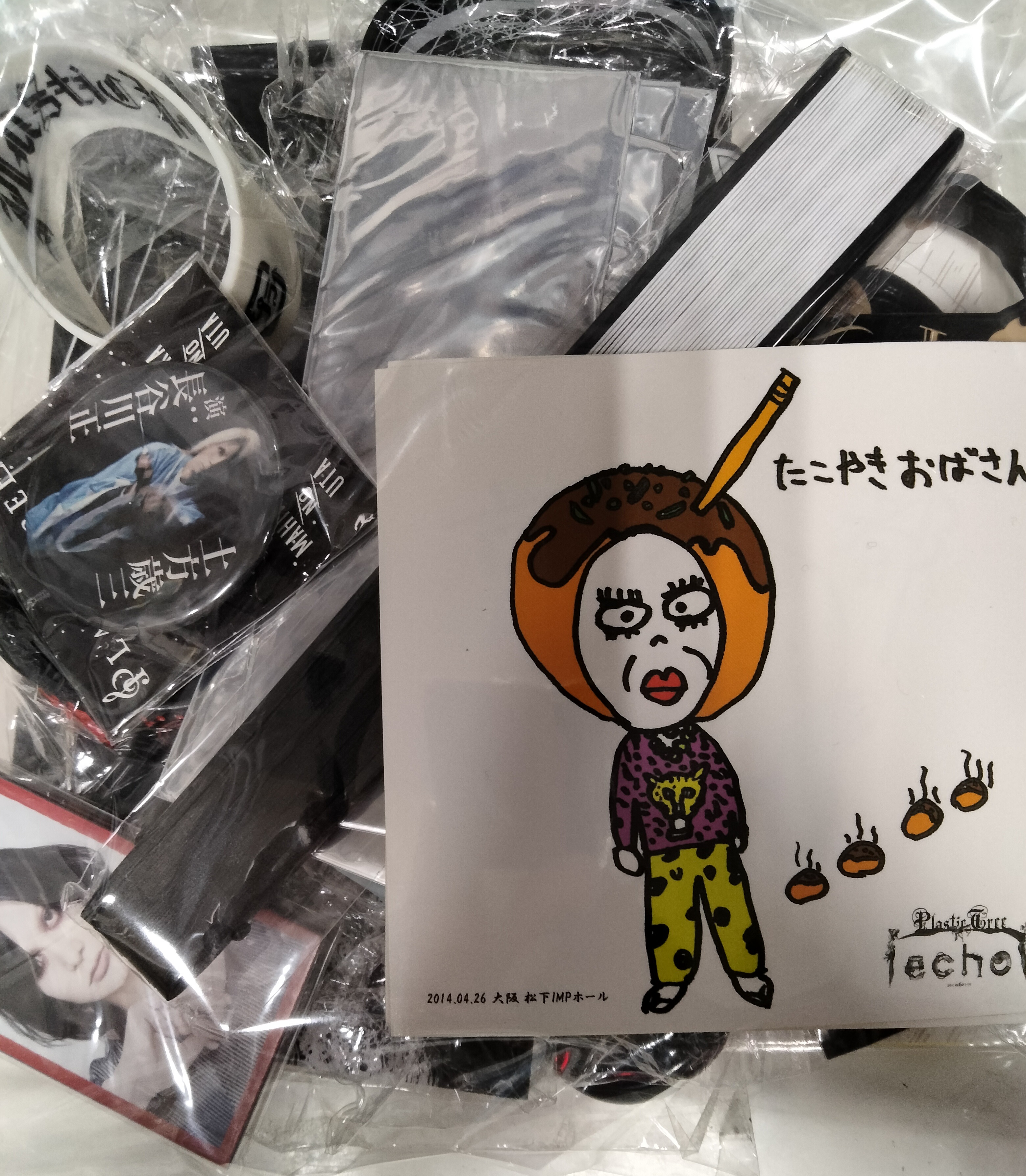 Plastic Tree の グッズ 詰め合わせ16