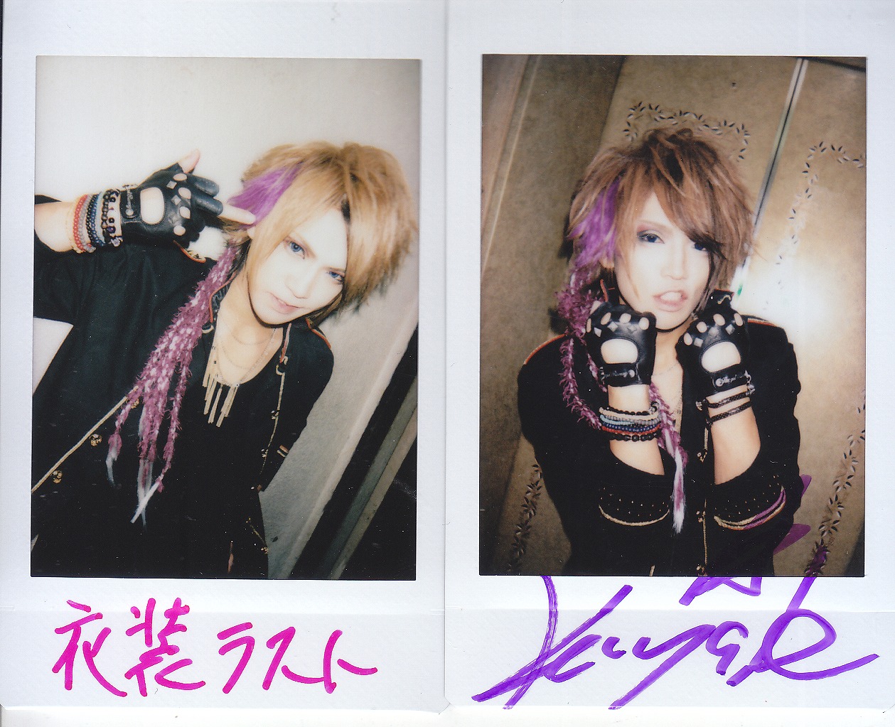 purple stoneチェキ ピュアサウンド / sp_アーティスト_取扱商品